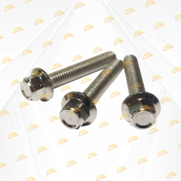 Bộ ốc che két nước Vario Inox 304 CTS chống gỉ