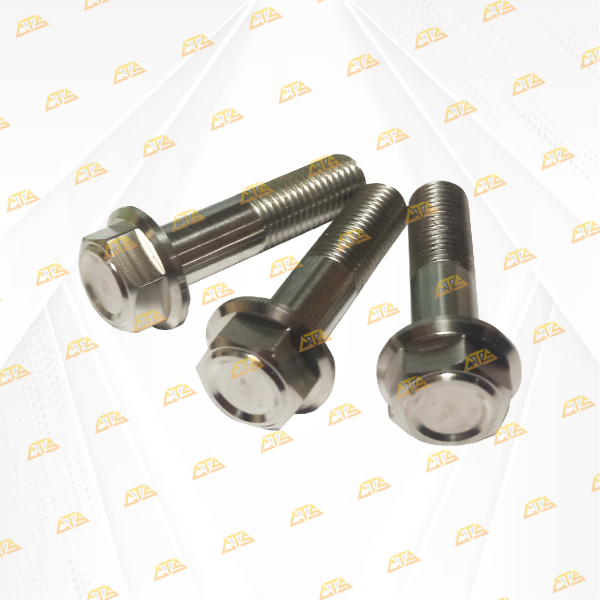 Bộ ốc gắp xe Vario Inox 304 CTS