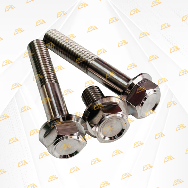 Bộ ốc láp xe Vario Inox 304 CTS