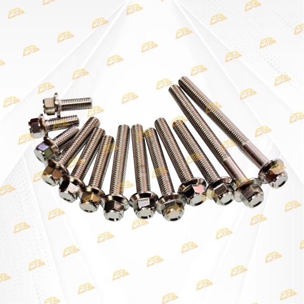 Bộ ốc lốc máy Vario Inox 304 CTS 