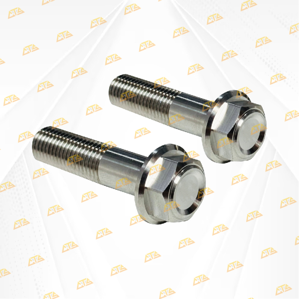 Bộ ốc treo pô Vario Inox 304 CTS