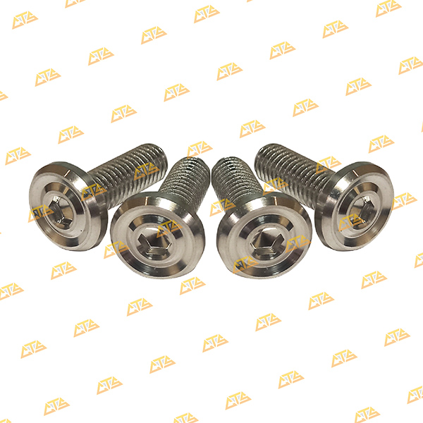 Ốc Đĩa Future 125 Inox 304 CTS