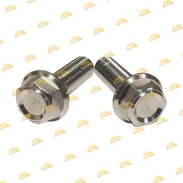 Ốc chân phuộc Future 125 Inox 304 CTS