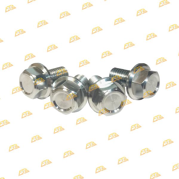 Ốc gác chân sau Exciter 150 Inox 304 CTS