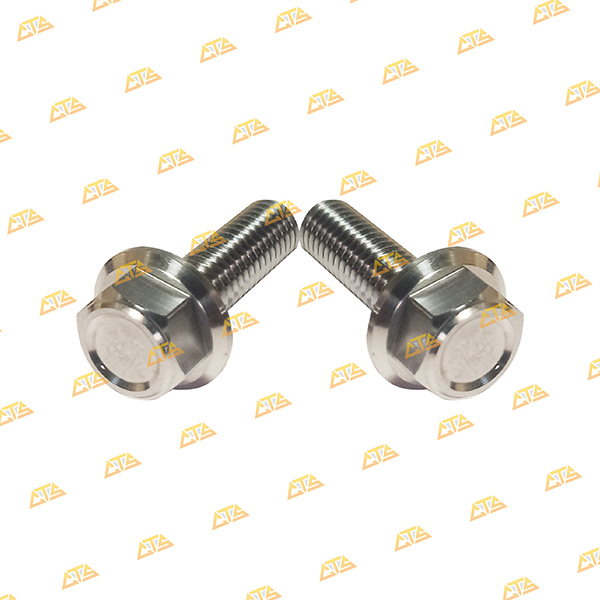 Ốc pas heo Future 125 Inox 304 CTS