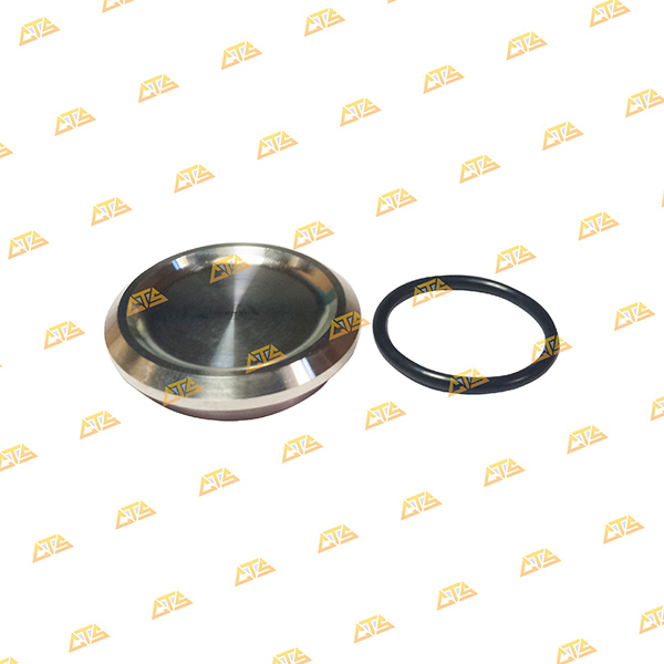 Nút đậy cate Future 125 Inox 304 CTS