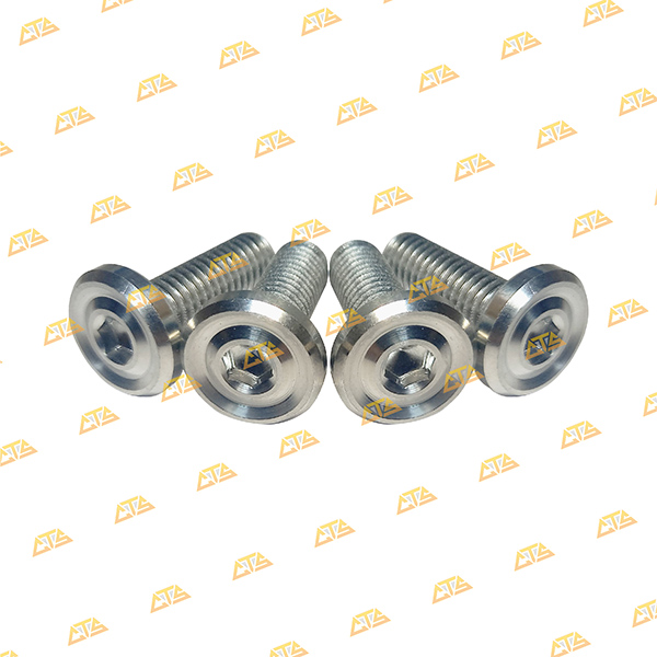 Ốc đĩa Scoopy Inox 304 CTS kiểng đẹp