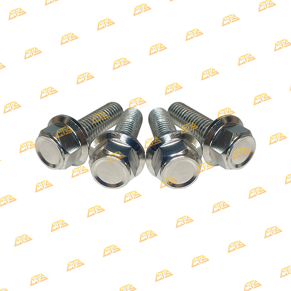 Ốc cảng Scoopy Inox 304 CTS bền đẹp