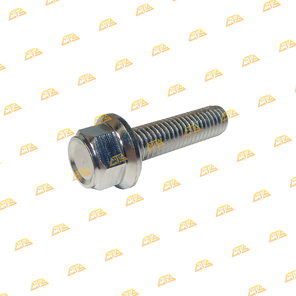 Ốc chân phuộc Scoopy Inox 304 CTS