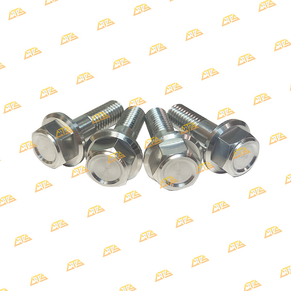 Ốc gác chân sau Winner Inox 304 CTS