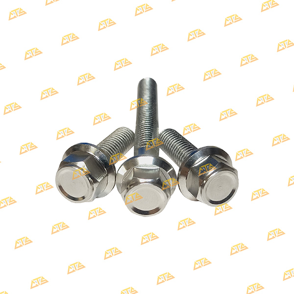 Ốc gác chân Sonic Inox 304 CTS đậm chất kiểng