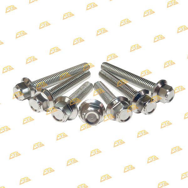 Ốc lốc máy SH350 Inox 304 CTS bền đẹp