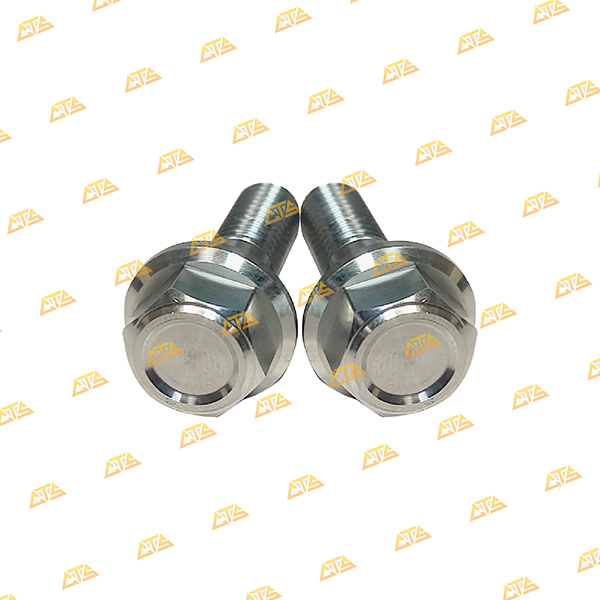 Ốc pas heo Winner Inox 304 CTS