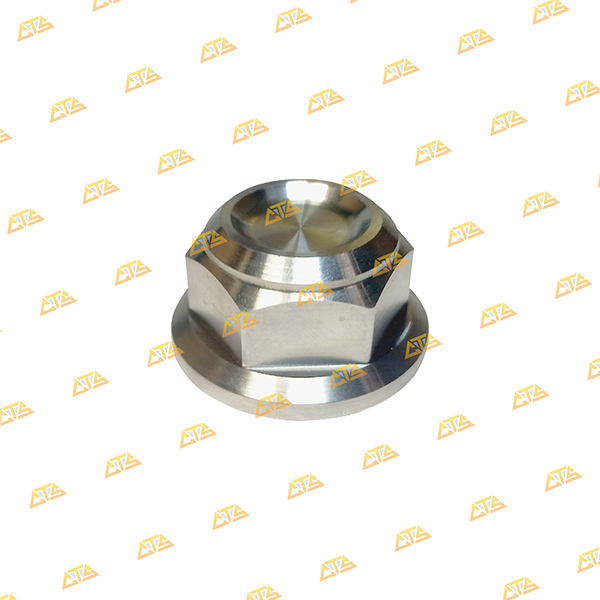 Tán bánh sau SH350 Inox 304 CTS