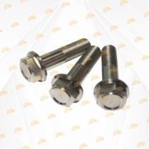 Bộ ốc gắp xe Vario Inox 304 CTS bắt mắt