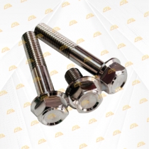 Bộ ốc láp xe Vario Inox 304 CTS chống gỉ sét
