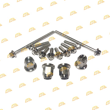 Bộ ốc đầu lòng Future 125 Inox 304 CTS chống gỉ