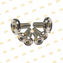 Ốc áo Dream Inox 304 CTS kiểng đẹp tinh tế