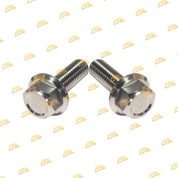Ốc pas heo Future 125 Inox 304 CTS lắp chuẩn