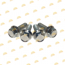 Ốc cảng Scoopy Inox 304 CTS bền đẹp