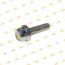 Ốc chân phuộc Scoopy Inox 304 CTS
