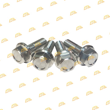 Ốc gác chân sau Winner Inox 304 CTS chính hãng