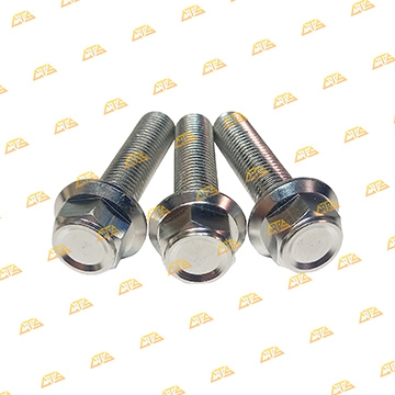 Ốc bắt phuộc Sirius Inox 304 CTS chắc đẹp