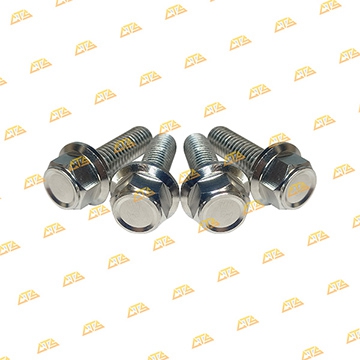 Ốc cảng Scoopy Inox 304 CTS bền đẹp