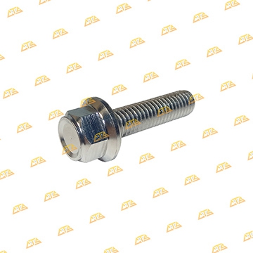 Ốc chân phuộc Scoopy Inox 304 CTS