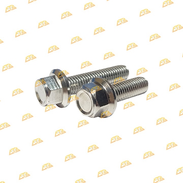 Ốc treo pô Sonic Inox 304 CTS chống gỉ